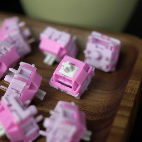 HMX Hibiscus Switches