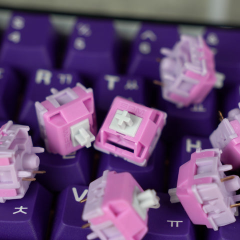 Hibiscus - Thocky switches from HMX!