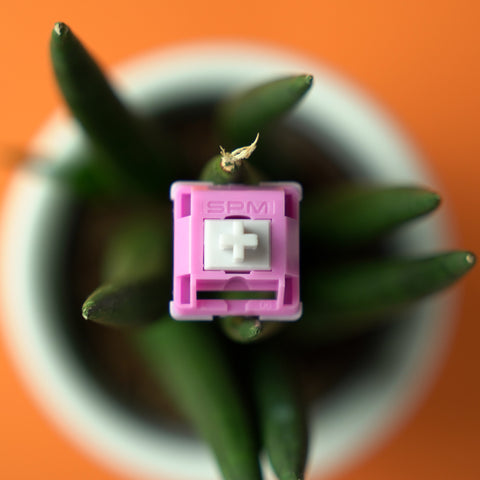 HMX Hibiscus Switches