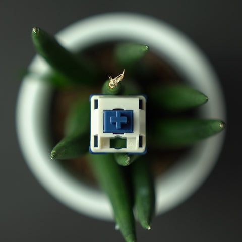 Xinhai HMX Switches