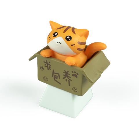 Kitten in a Box Artisan Keycap