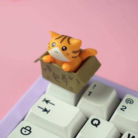 Kociak w pudełku Artisan Keycap