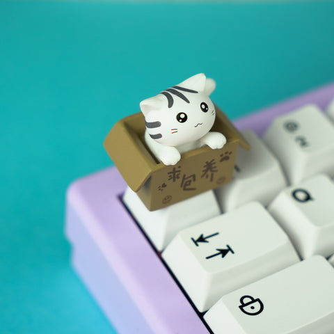 Kitten in a Box Artisan Keycap